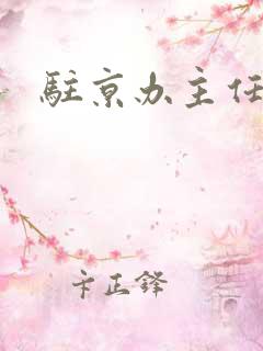 驻京办主任对手