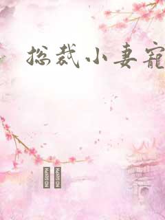 总裁小妻宠上天