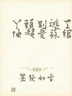 丫头别逃了教授他超爱苏绾谢宴宁