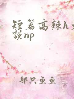 短篇高辣h文小说np