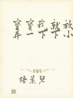 宝宝我就放进去弄一下下小说