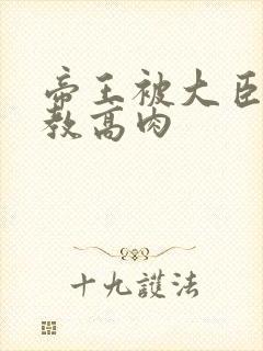 帝王被大臣们调教高肉