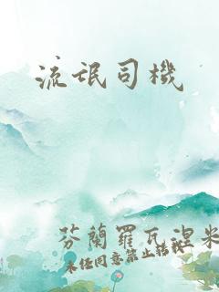 流氓司机