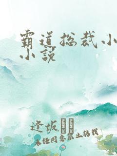 霸道总裁小娇妻小说