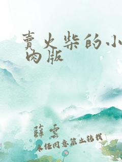 卖火柴的小男孩 肉版