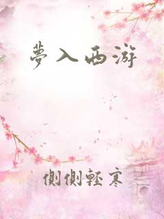 梦入西游
