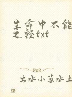 生命中不能承受之轻txt