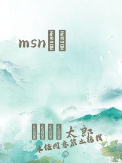 msnС˵