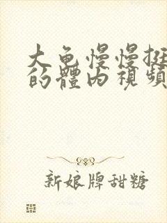 大龟慢慢挺进我的体内视频