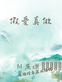 假爱真做