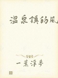 温泉镇的风流事