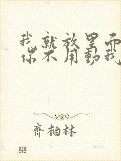 我就放里面不动你不用动我动