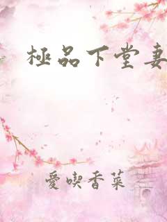 极品下堂妻