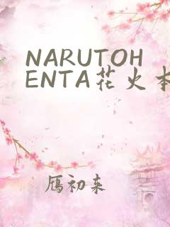NARUTOHENTA花火本子