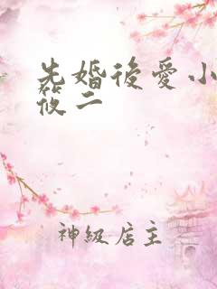 先婚后爱小说梦筱二