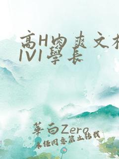 高H肉爽文校园1V1学长