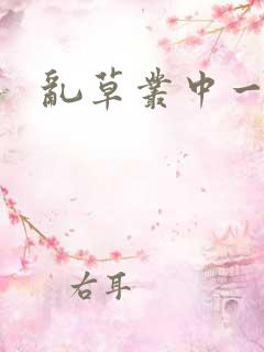 乱草丛中一杆枪