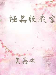 极品收藏家