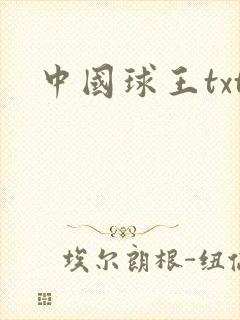 中国球王txt
