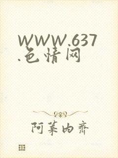 WWW.637.色情网