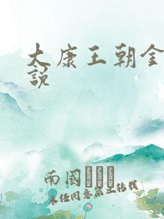 大康王朝金峰小说