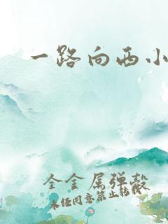 一路向西小说