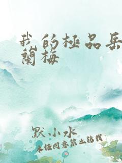 我的极品岳坶赵兰梅