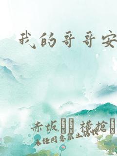 我的哥哥安小天