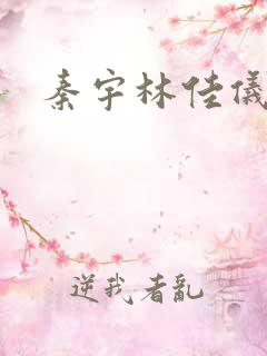 秦宇林佳仪小说