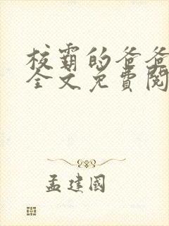 校霸的爸爸小说全文免费阅读