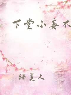 下堂小妾不好惹