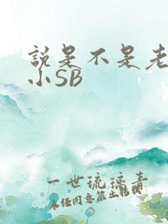 说是不是老公的小SB