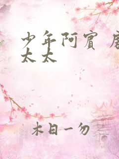 少年阿宾 房东太太