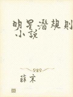 明星潜规则之皇 小说