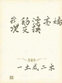 我的漂亮娇妻初次交换