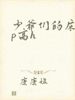 少爷们的床奴np高h