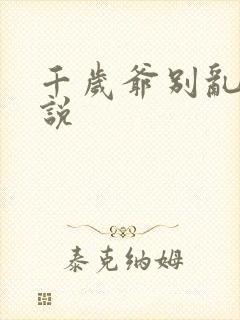 千岁爷别乱来小说