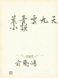 叶青云九天玄宗小说