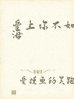 爱上你不如爱上海