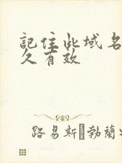 记住此域名记永久有效