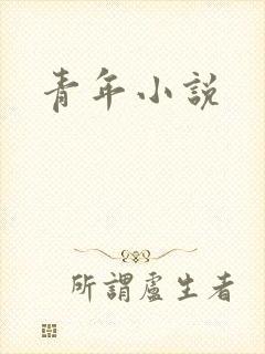 青年小说