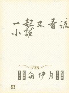 一起又看流星雨小说