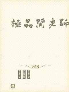 极品开光师阅读