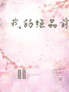我的绝品前妻