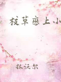 校草恋上小丫头