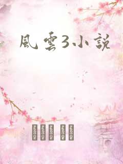 风云3小说