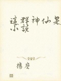 这群神仙是假的小说