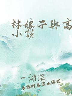 林娘子与高衙内小说