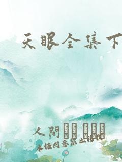 天眼全集下载