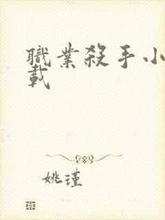 职业杀手小说下载